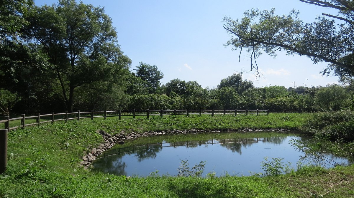 🏞️ 구넨 다리 개울 공원(구넨바시 세세라기 코엔)